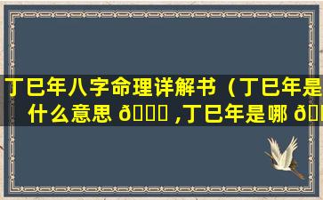 丁巳年八字命理详解书（丁巳年是什么意思 🍁 ,丁巳年是哪 🐴 一年）